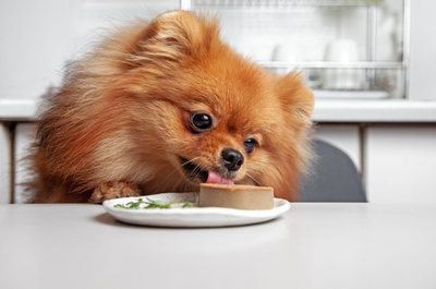 Health Benefits of Fresh Dog Food& Treats---Vegetable Broth for Dogs