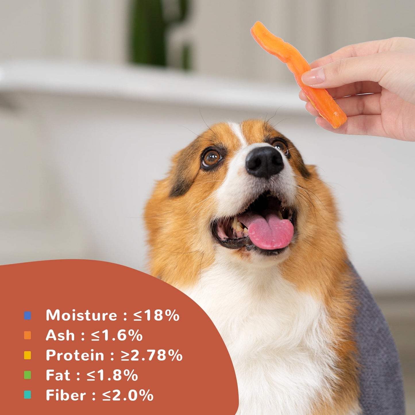 PAWUP Sweet Potato Dog Treats, Low Fat, Single Ingredient Natural Chews for Dogs, 10.4oz