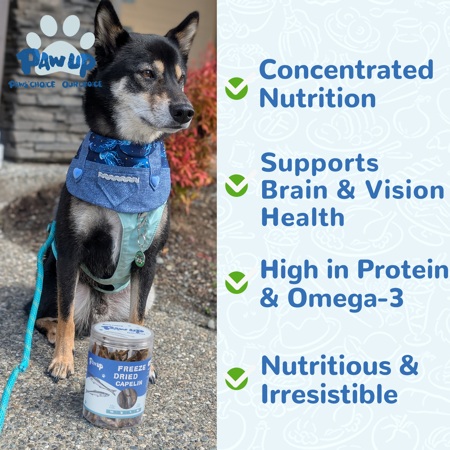 PAWUP Freeze Dried Capelin Dogs Treats – Raw Single Ingredient Dog Fish Snacks, Rich in Omega-3 for Skin & Coat Health, Grain Free, 3.5oz