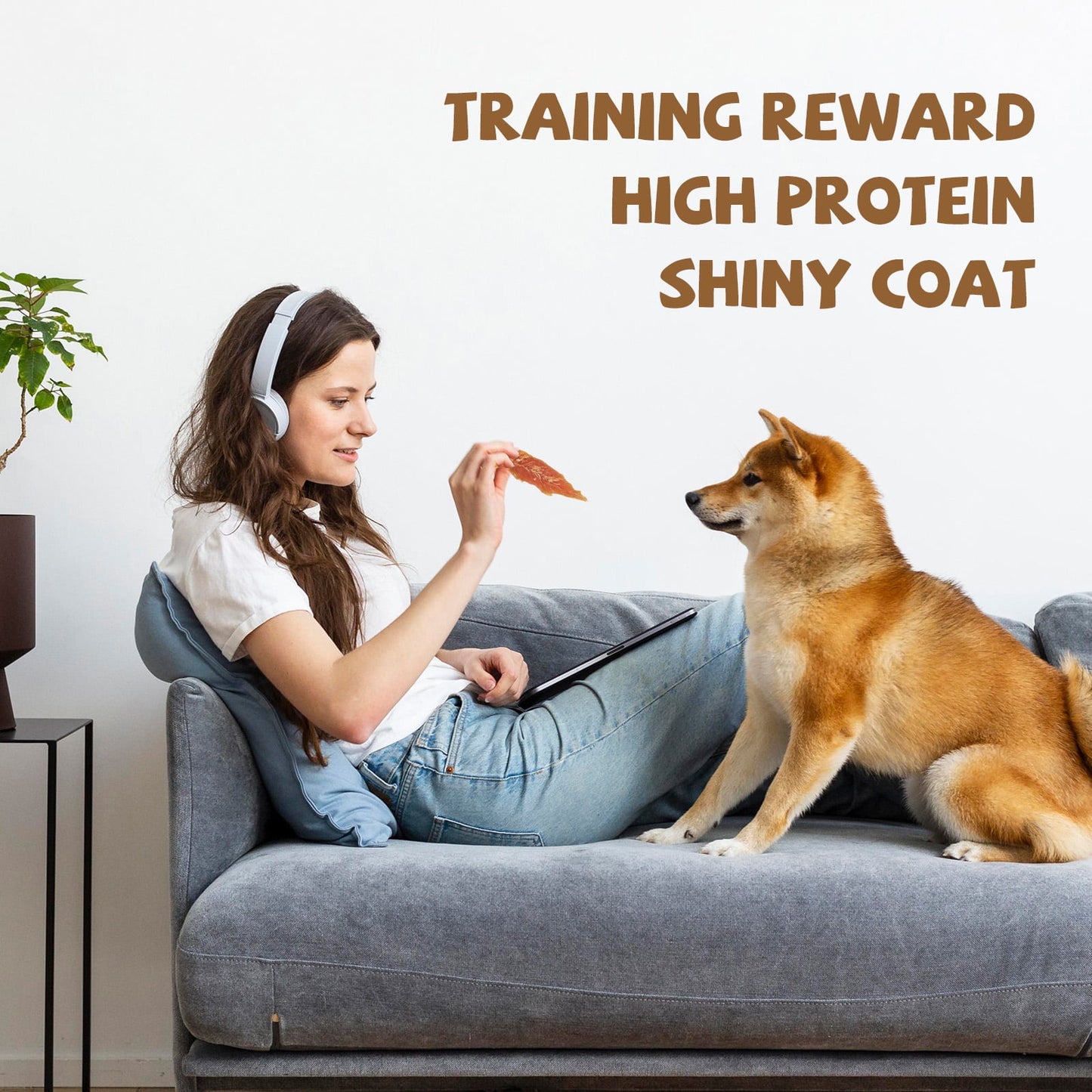 PAWUP Chicken Jerky Dog Treats, 1% Taurine Added, Grain Free, 10.4oz, Rawhide Free Treats for Small Medium Large Dogs