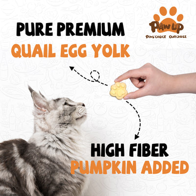 Freeze Dried Quail Egg Yolk Treats for Cats & Dogs, Coat & Urinary Health, 3.5 oz - Pawup