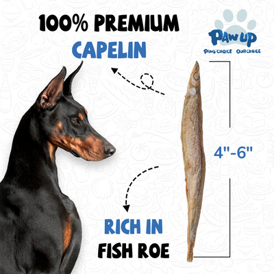 Freeze Dried Capelin for Dogs. Benifit for Skin & Coat Health, 3.5oz - Pawup