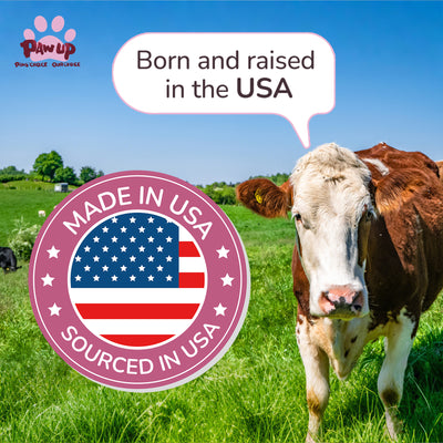 Beef Lung Dog Treats, High-Protein, Low-Fat Chews for All Dogs, 2.2 lb - Pawup