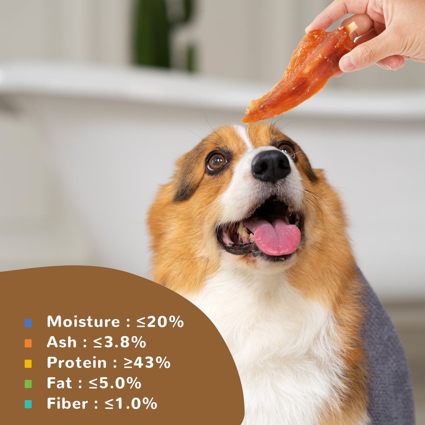PAWUP Chicken Jerky Dog Treats, 1% Taurine Added, Grain Free, 10.4oz, Rawhide Free Treats for Small Medium Large Dogs