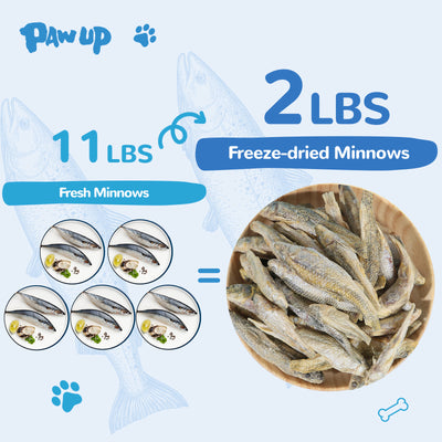 Freeze-Dried Minnows Treats for Dogs & Cats, Omega-3 Rich Single-Ingredient Snacks, 2.8 oz - Pawup