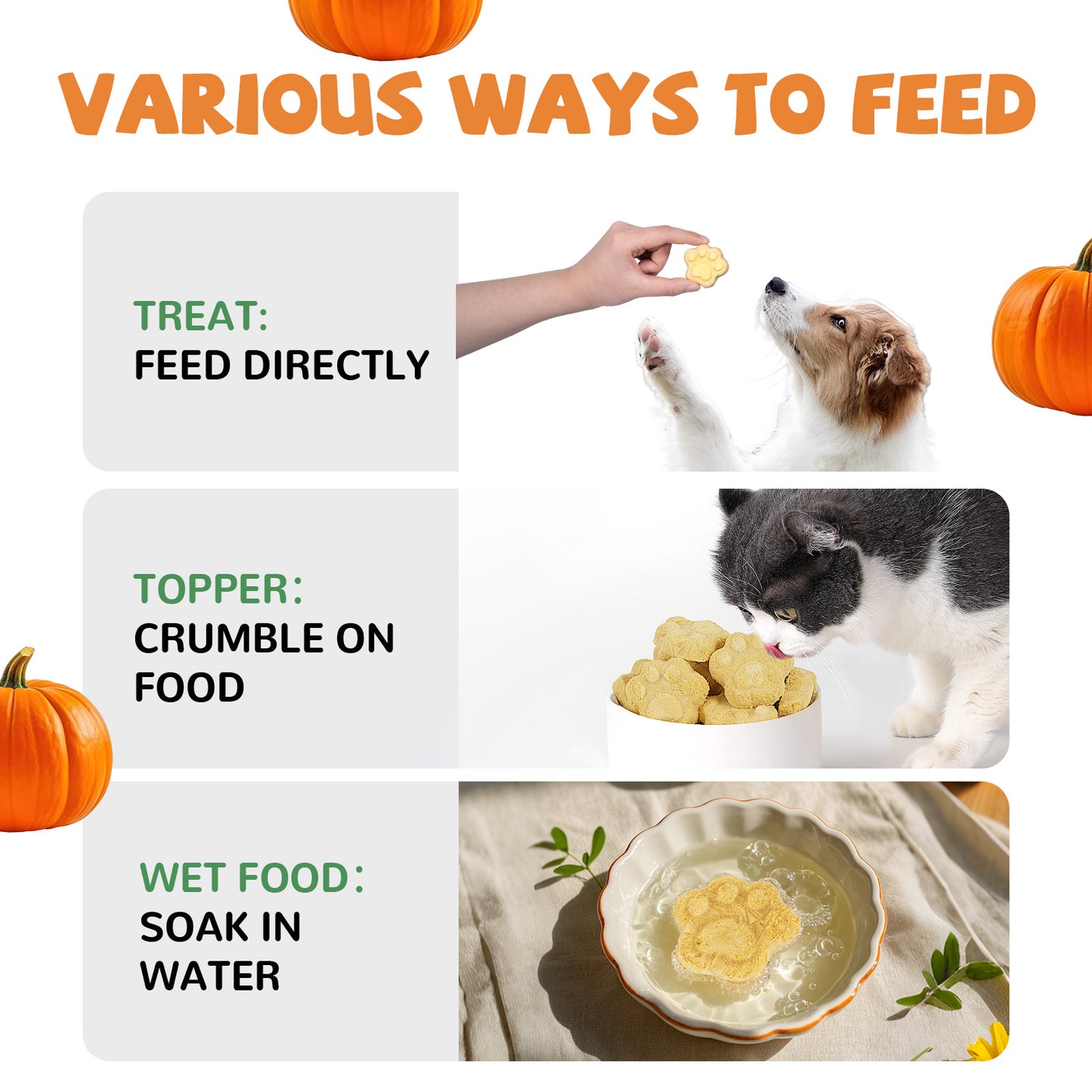Freeze Dried Cat & Dog Treats, Natural Quail Egg Yolk, High Fiber Pumpkin Added, High-Protein Pet Snacks for Coat & Gut Health, 3.5 oz