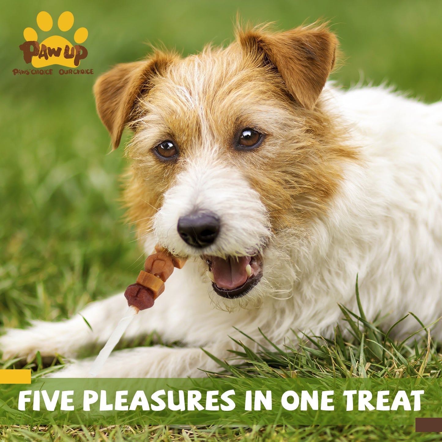 Kebob Quintet Dog Treats, Kabobs for Dogs, High Protein Dog Chews, Made with Chicken, Duck, Chicken Liver, Turkey & Sweet Potato, Rawhide Sticks for Dogs, 12 Count