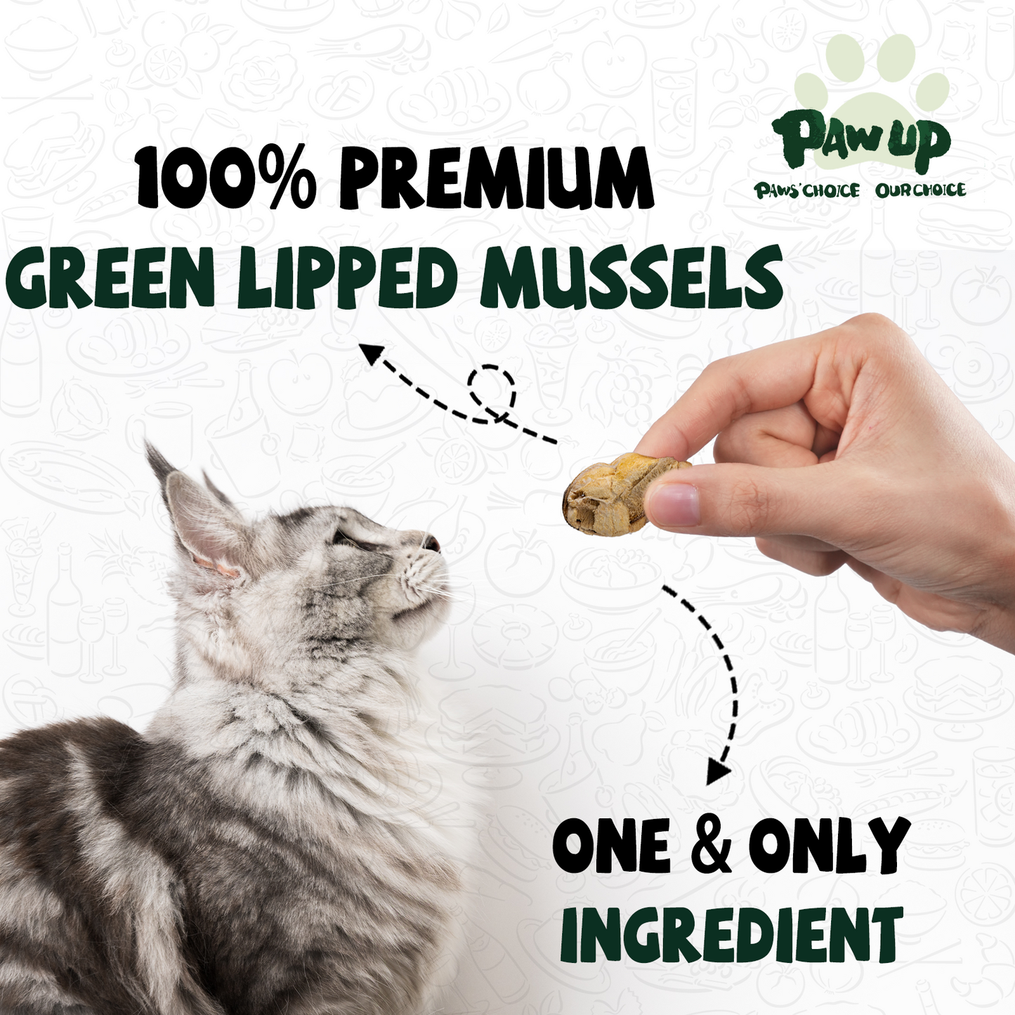 PAWUP Freeze Dried Green Lipped Mussels Dog Treats – Raw Single Ingredient Snacks for Joint & Hip Health, Rich in Omega-3, Grain Free, 3.5 oz