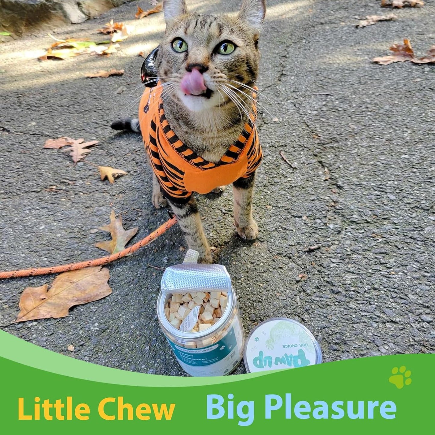 Freeze Dried Cat Treats, Raw Chicken Food for Dogs Cats, Single Ingredient, High Protein Natural Healthy Topper, 3.8 oz