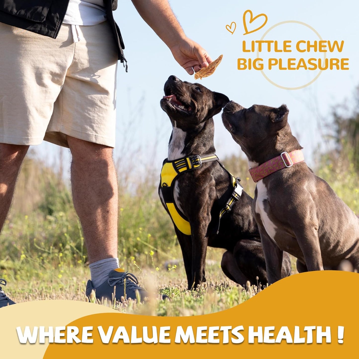 Chicken Jerky Dog Treats, Lower Moisture Content, Healthy Premium Chewy Dog Jerky Treats, 10.6 oz