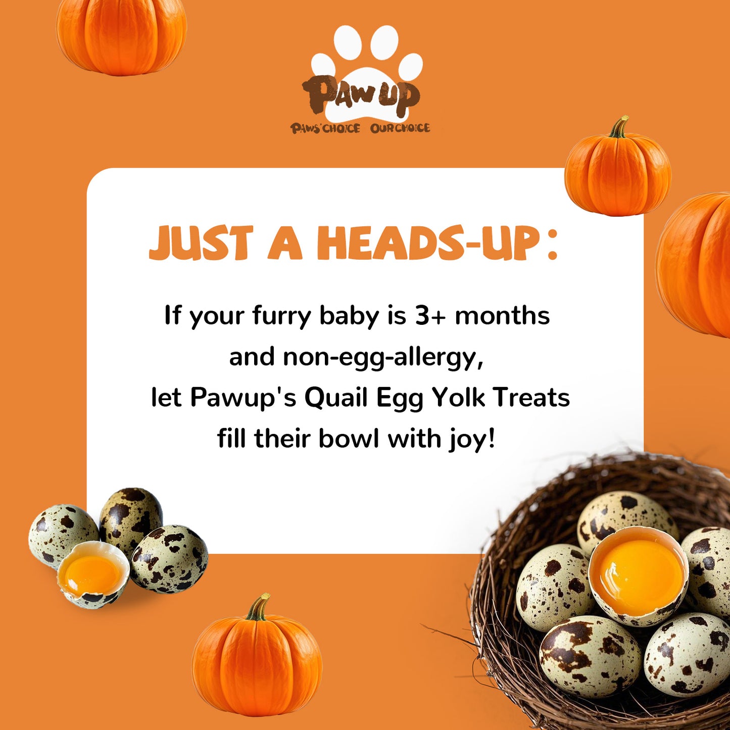 Freeze Dried Cat & Dog Treats, Natural Quail Egg Yolk, High Fiber Pumpkin Added, High-Protein Pet Snacks for Coat & Gut Health, 3.5 oz