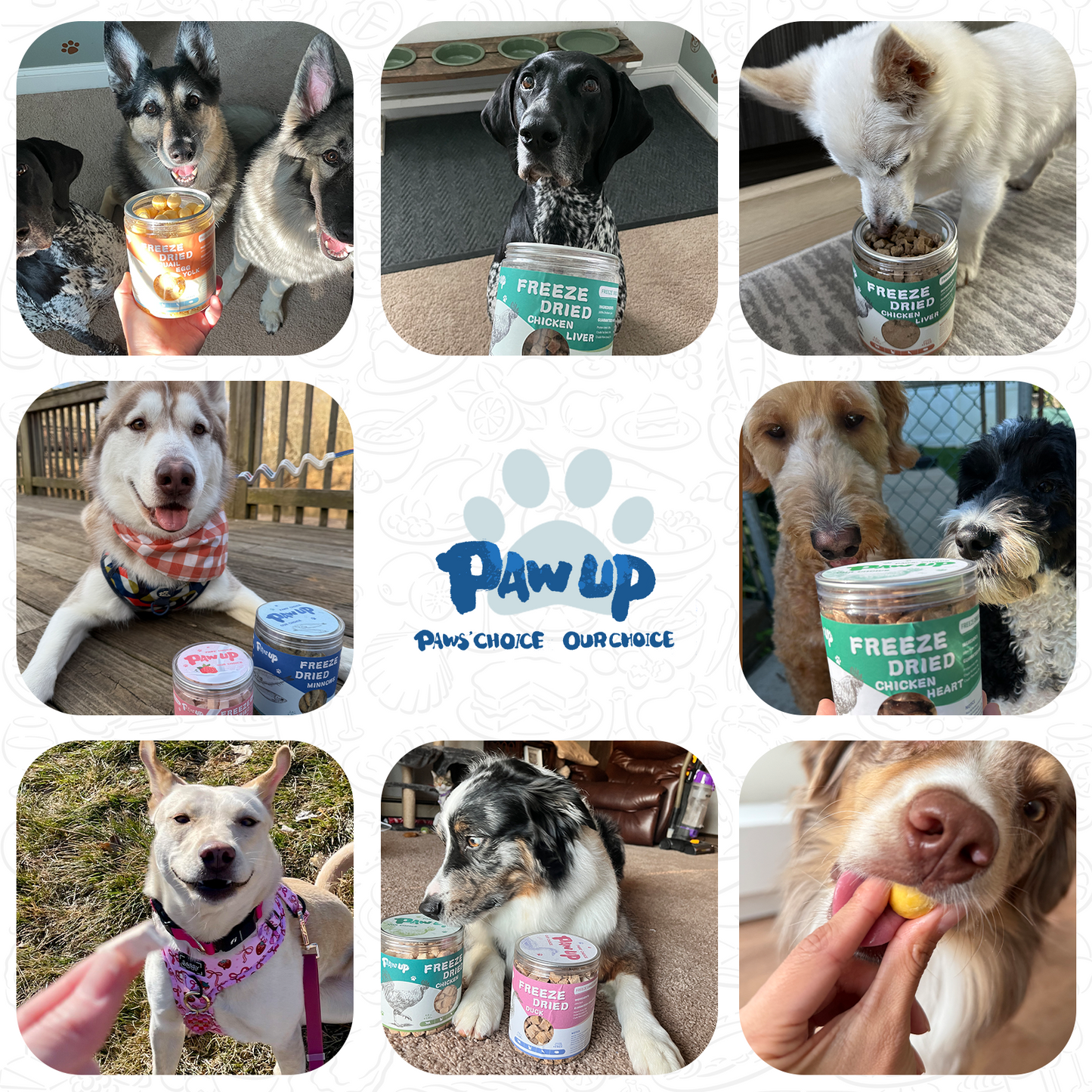 PAWUP Freeze Dried Capelin Dogs Treats – Raw Single Ingredient Dog Fish Snacks, Rich in Omega-3 for Skin & Coat Health, Grain Free, 3.5oz