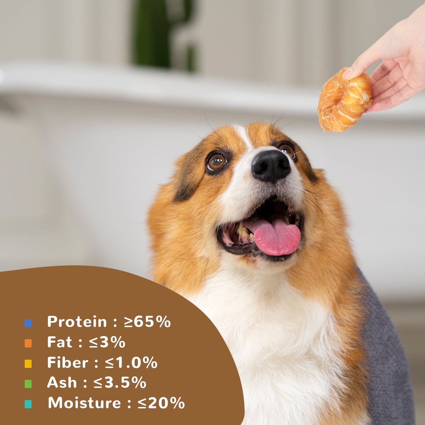 PAWUP Chicken Wrapped Rawhide Donuts Dog Treat, Long Lasting Rawhide Chew Snack for Medium Large Dogs, 7.4oz