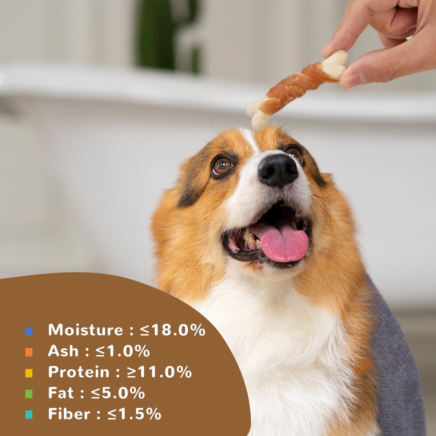 PAWUP Chicken Wrapped Calcium Bone, Rawhide Free Dog Chews, Training Treats for Dogs, 10.4oz