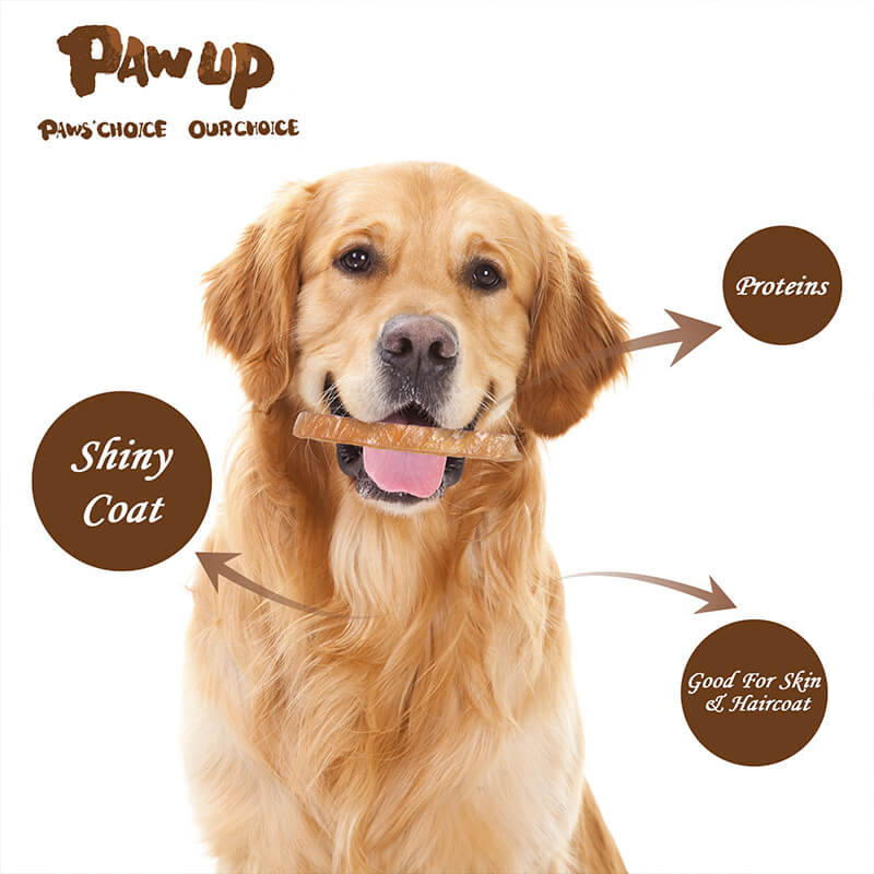 PAWUP Chicken Jerky Strips Dog Treats, Jerky Cuts, 12.5 oz