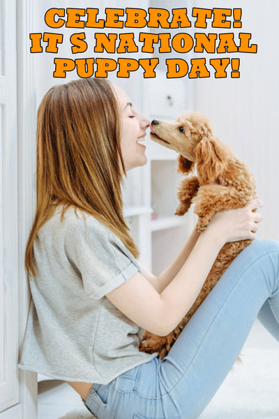 10 Ways to Celebrate National Puppy Day