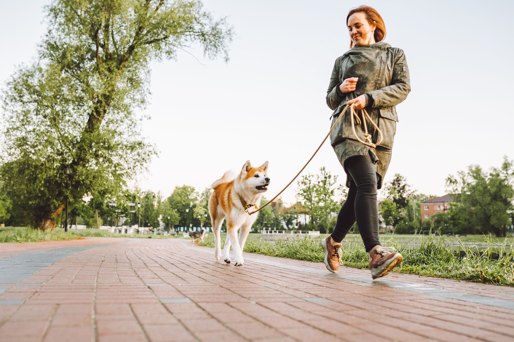 It’s a good sign that the dog is well-raised by you! How many do you know?