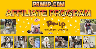 Become A Paw-up Affiliate and Earn Money Now!