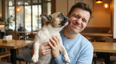 Why Does Dog Lick Your Face?
