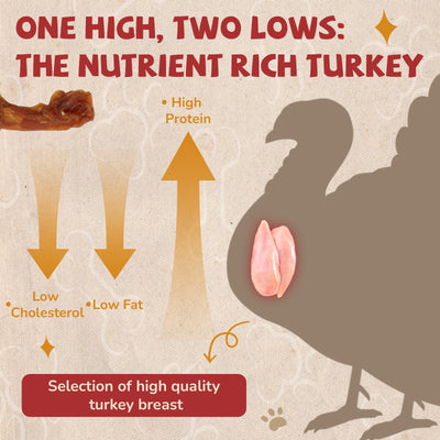Turkey Jerky Dog Treats, High Protein Turkey Breast Chews, Natural Healthy Dog Bones, Long-Lasting Bone Treats for Large Dogs, Low Cholesterol Snacks w/Beef Tendon (13g/Stick, 6 Sticks)