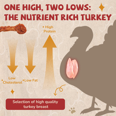 Turkey Jerky Dog Treats, High Protein Turkey Breast Chews, Natural Healthy Dog Bones, Long-Lasting Bone Treats for Large Dogs, Low Cholesterol Snacks w/Beef Tendon (36g/Stick, 2 Sticks)