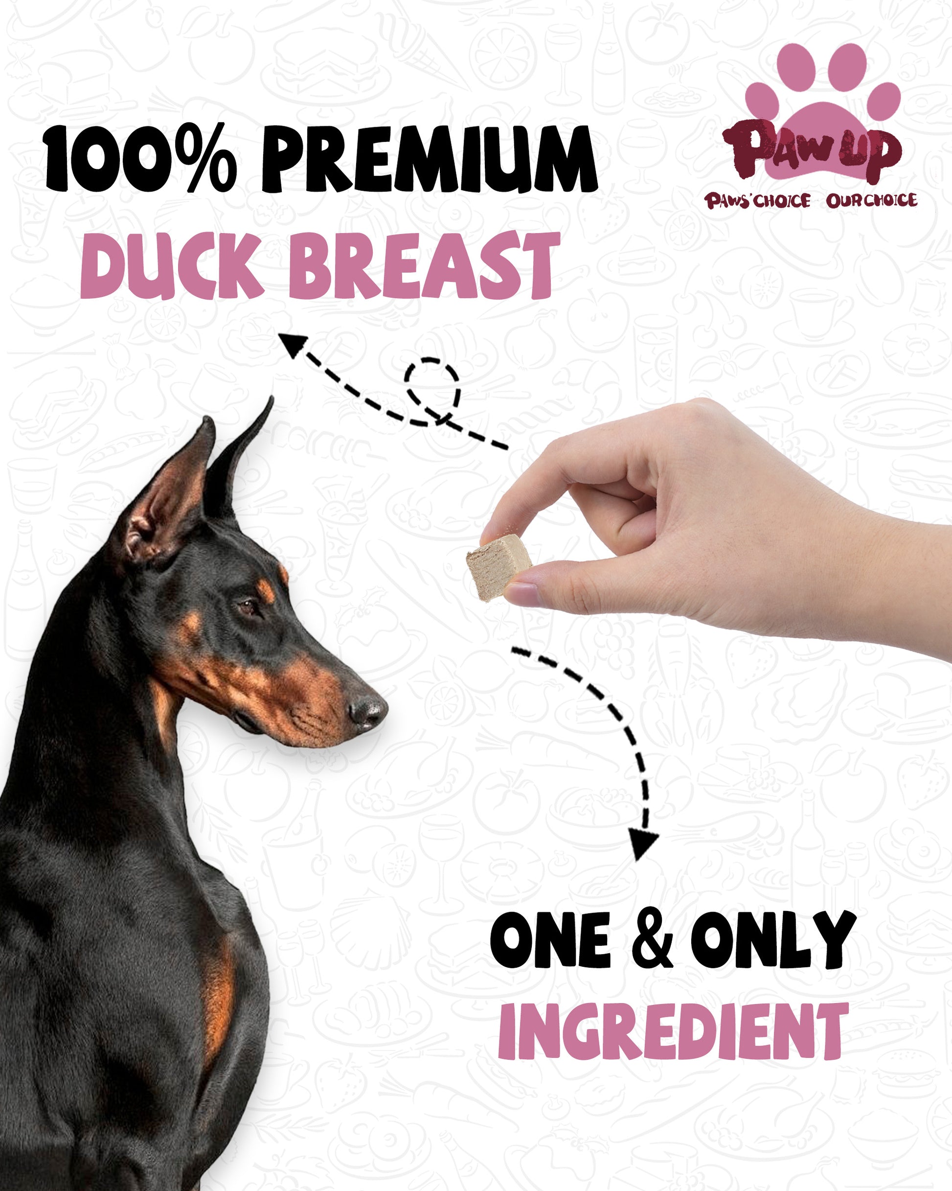 Freeze-Dried Duck Breast Treats for Dogs, High-Protein Snacks, 4.6 oz - Pawup