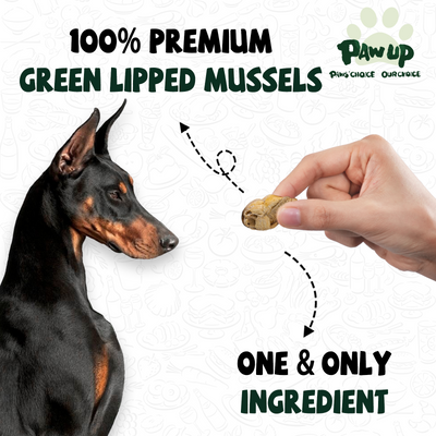 PAWUP Freeze Dried Green Lipped Mussels Dog Treats – Raw Single Ingredient Snacks for Joint & Hip Health, Rich in Omega-3, Grain Free, 3.5 oz