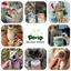 PAWUP Freeze Dried Green Lipped Mussels Dog Treats – Raw Single Ingredient Snacks for Joint & Hip Health, Rich in Omega-3, Grain Free, 3.5 oz