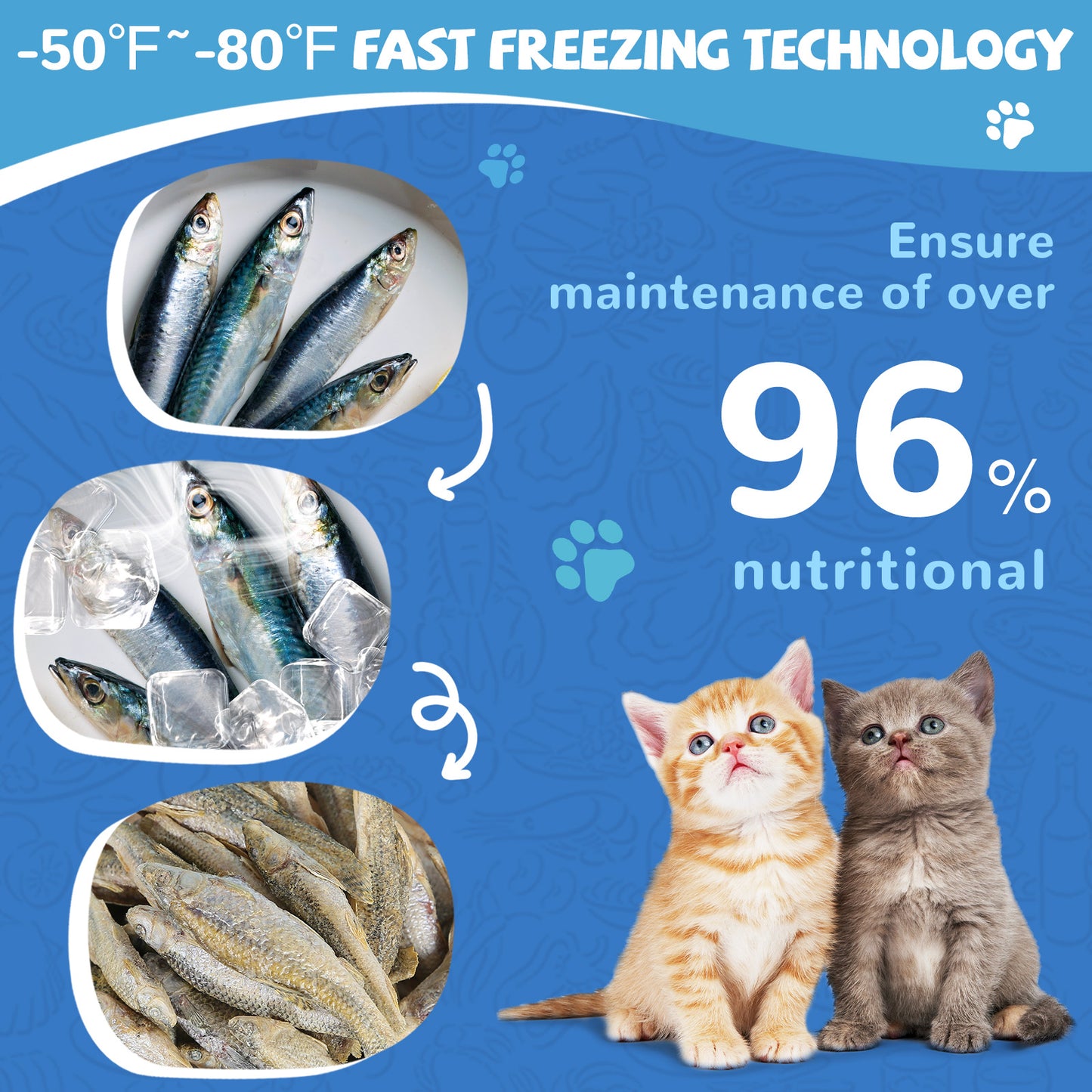 Freeze-Dried Minnows Treats for Dogs & Cats – 100% Natural, Single-Ingredient Pet Snacks – Rich in Omega-3, Grain-Free – Healthy Training Rewards & Meal Toppers, 2.8 oz