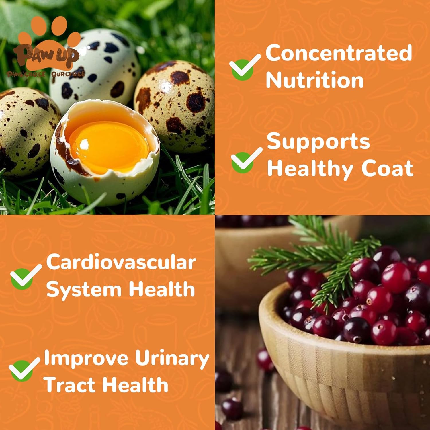 Freeze Dried Quail Egg Yolk Treats for Cats & Dogs, Coat & Urinary Health, 3.5 oz - Pawup