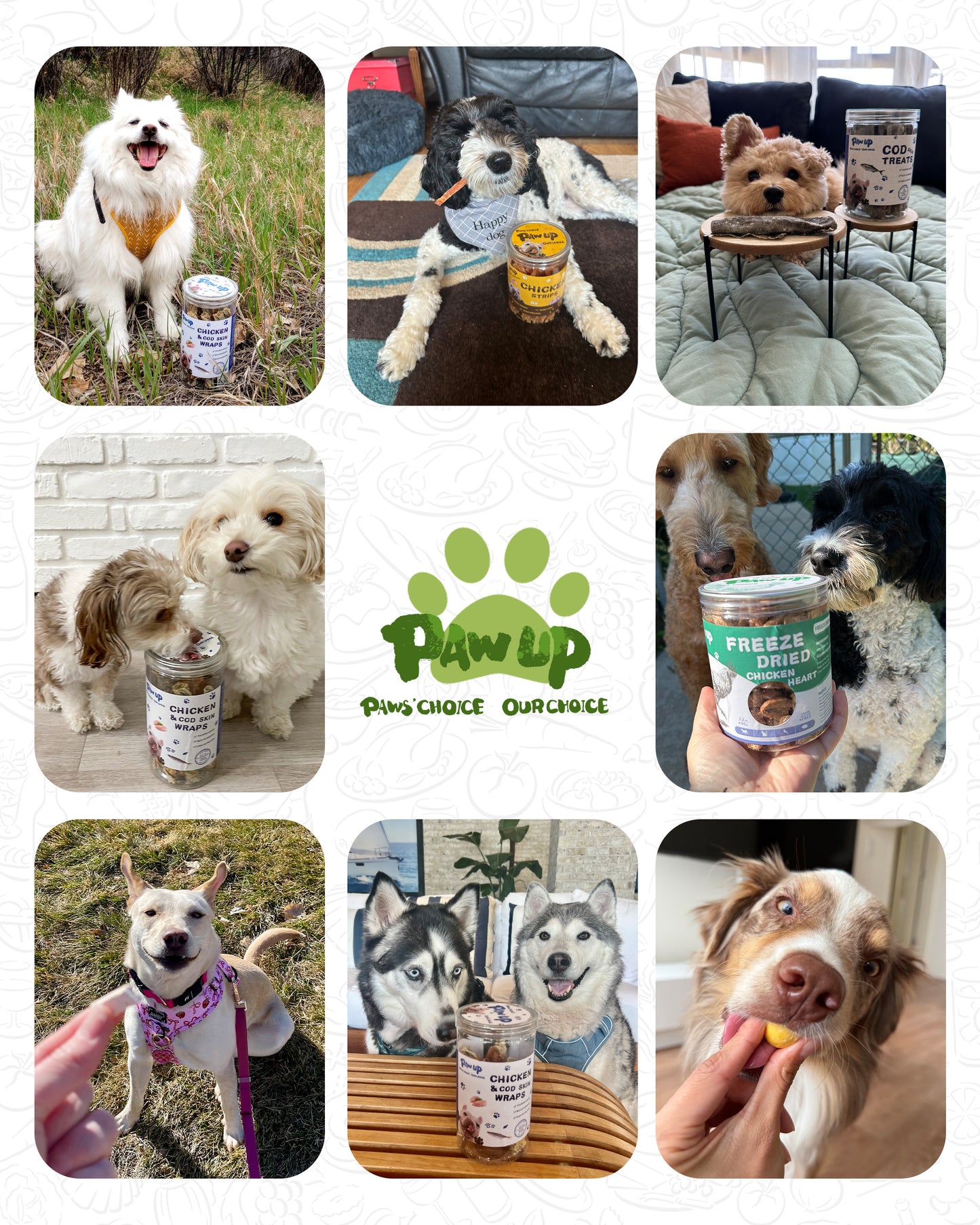 Freeze-Dried Chicken Liver Treats for Dogs, High-Protein Snacks, 4.6 oz - Pawup