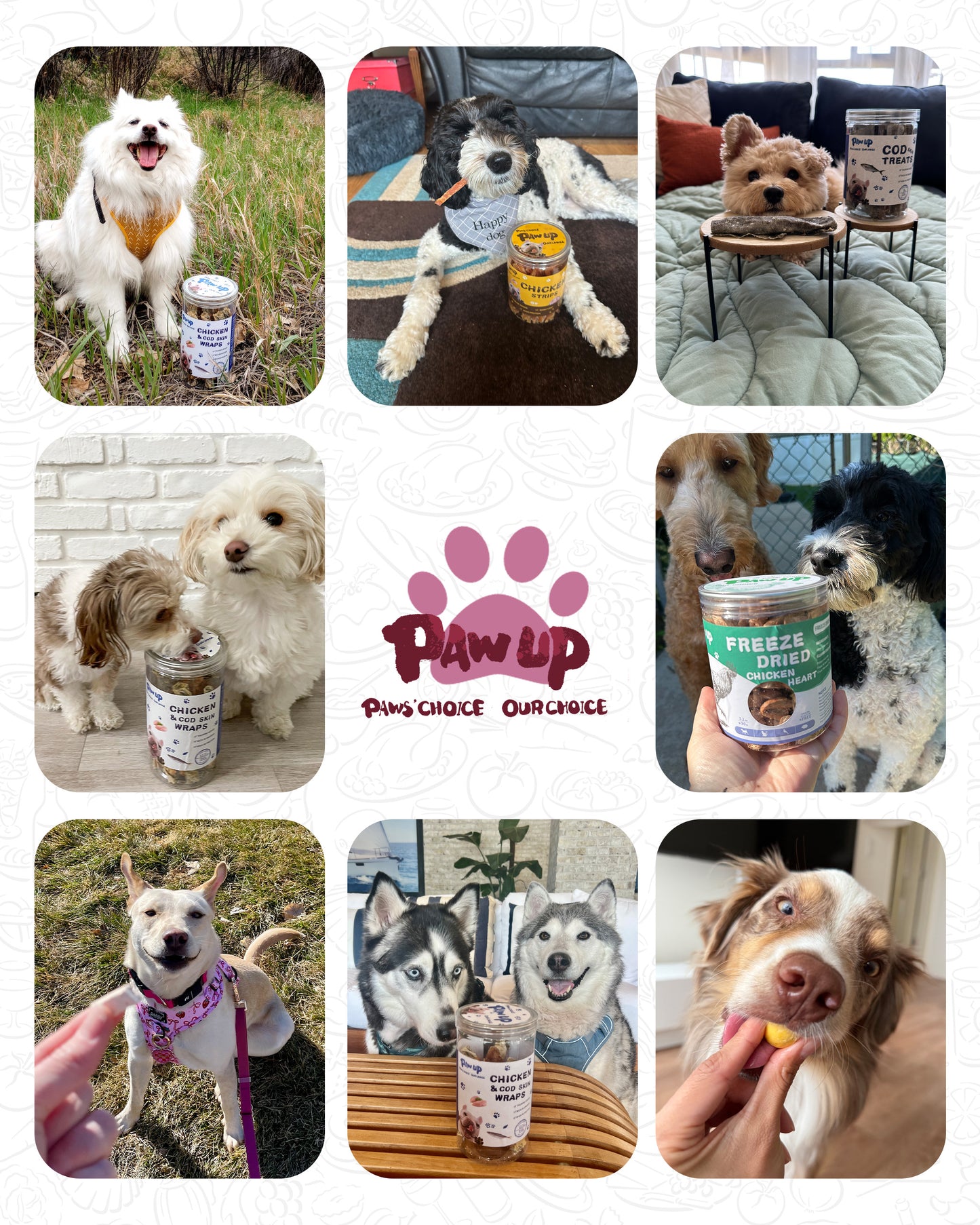 Freeze-Dried Duck Breast Treats for Dogs, High-Protein Snacks, 4.6 oz - Pawup