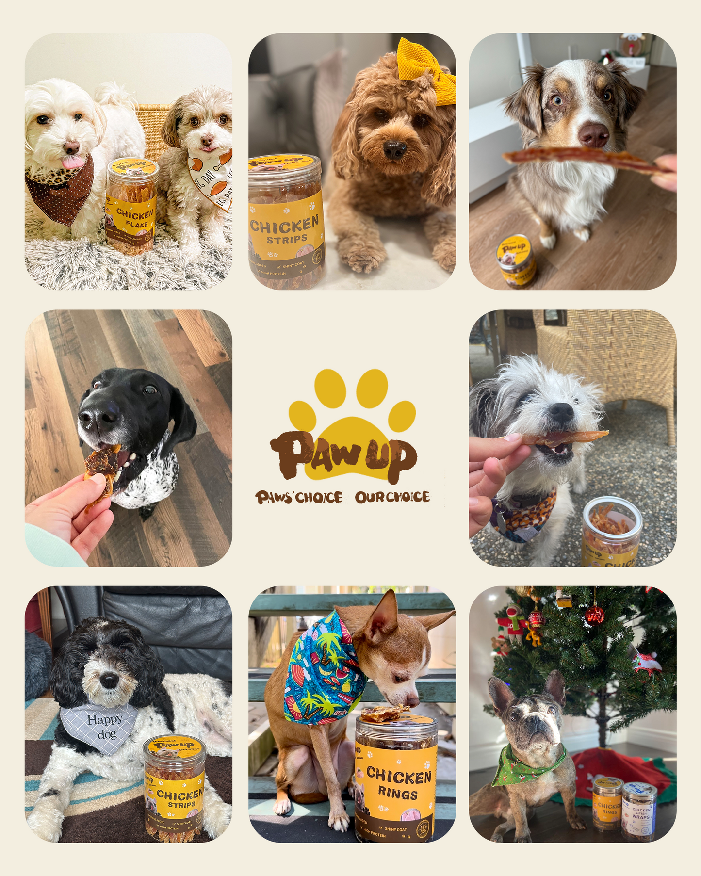 PAWUP Soft Dog Treats, Chicken & Shrimp Jerky Shavings, Easy to Chew Dog Food Topper & Meal Mixer for Small & Senior Dogs, Grain Free, Taurine Added, 6.6 oz