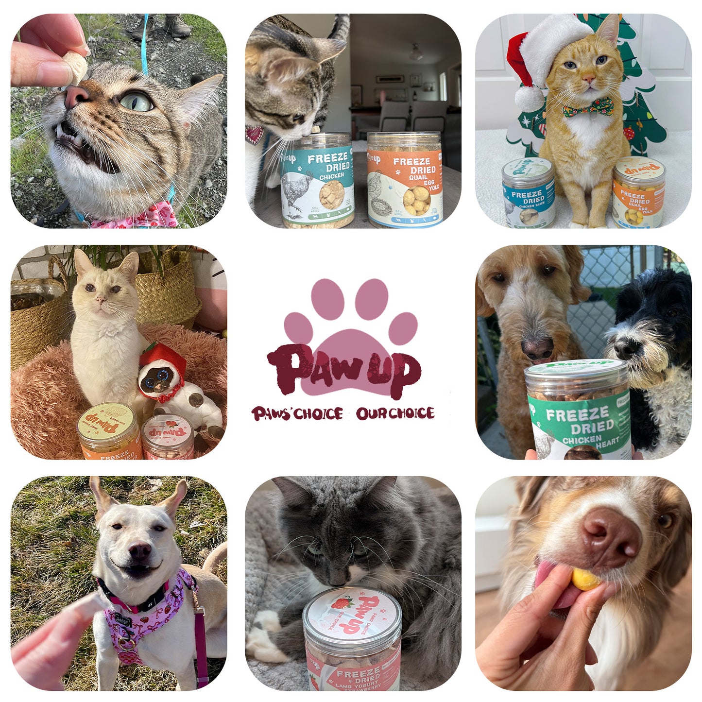 PAWUP Freeze Dried Duck Treats for Cats Dogs, Rawhide Free Freeze-Dried Raw Food Topper, High Protein, Gluten&Grain Free, 2.1oz