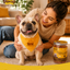 PAWUP Soft Dog Treats, Chicken & Shrimp Jerky Shavings, Easy to Chew Dog Food Topper & Meal Mixer for Small & Senior Dogs, Grain Free, Taurine Added, 6.6 oz