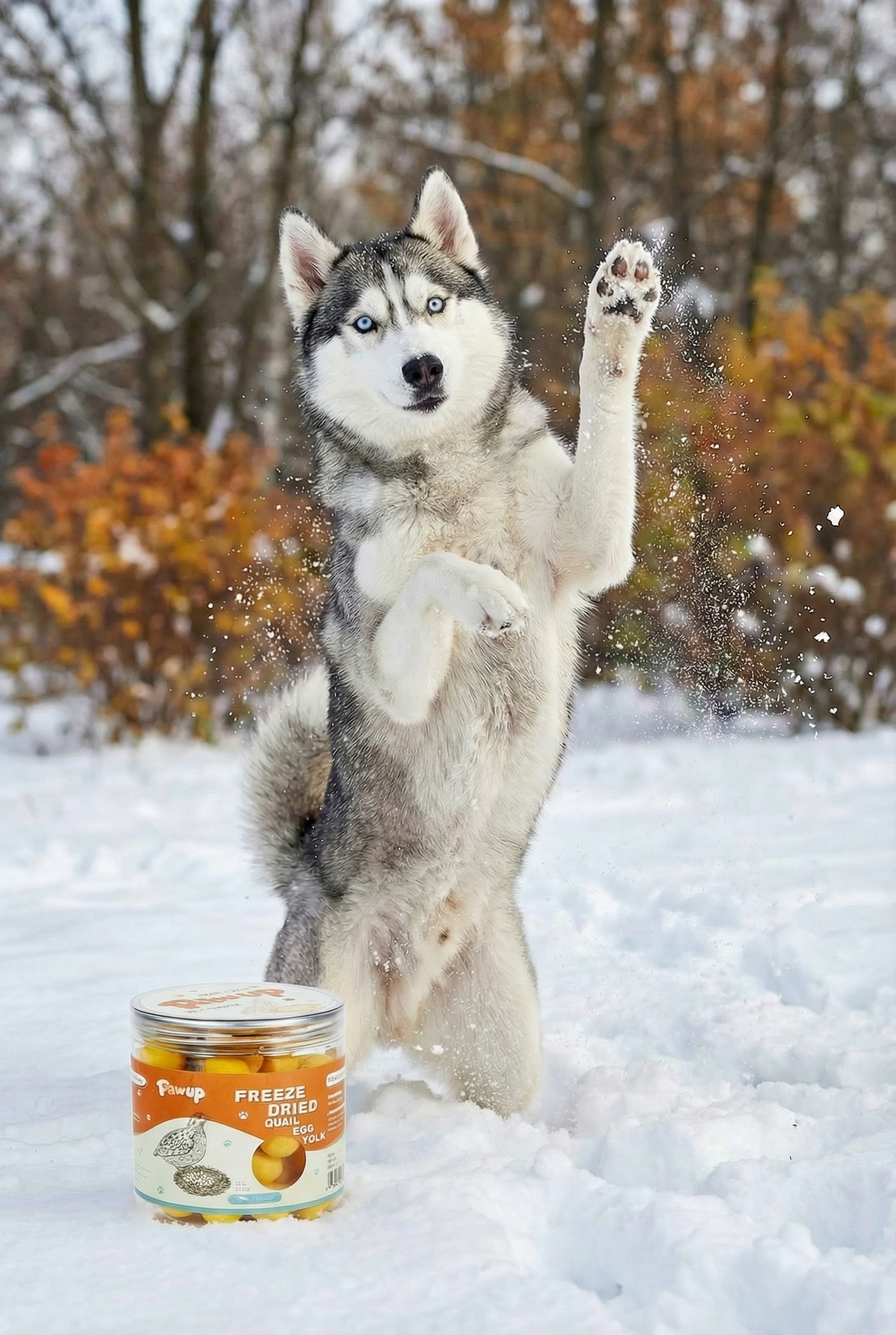 test products - Pawup