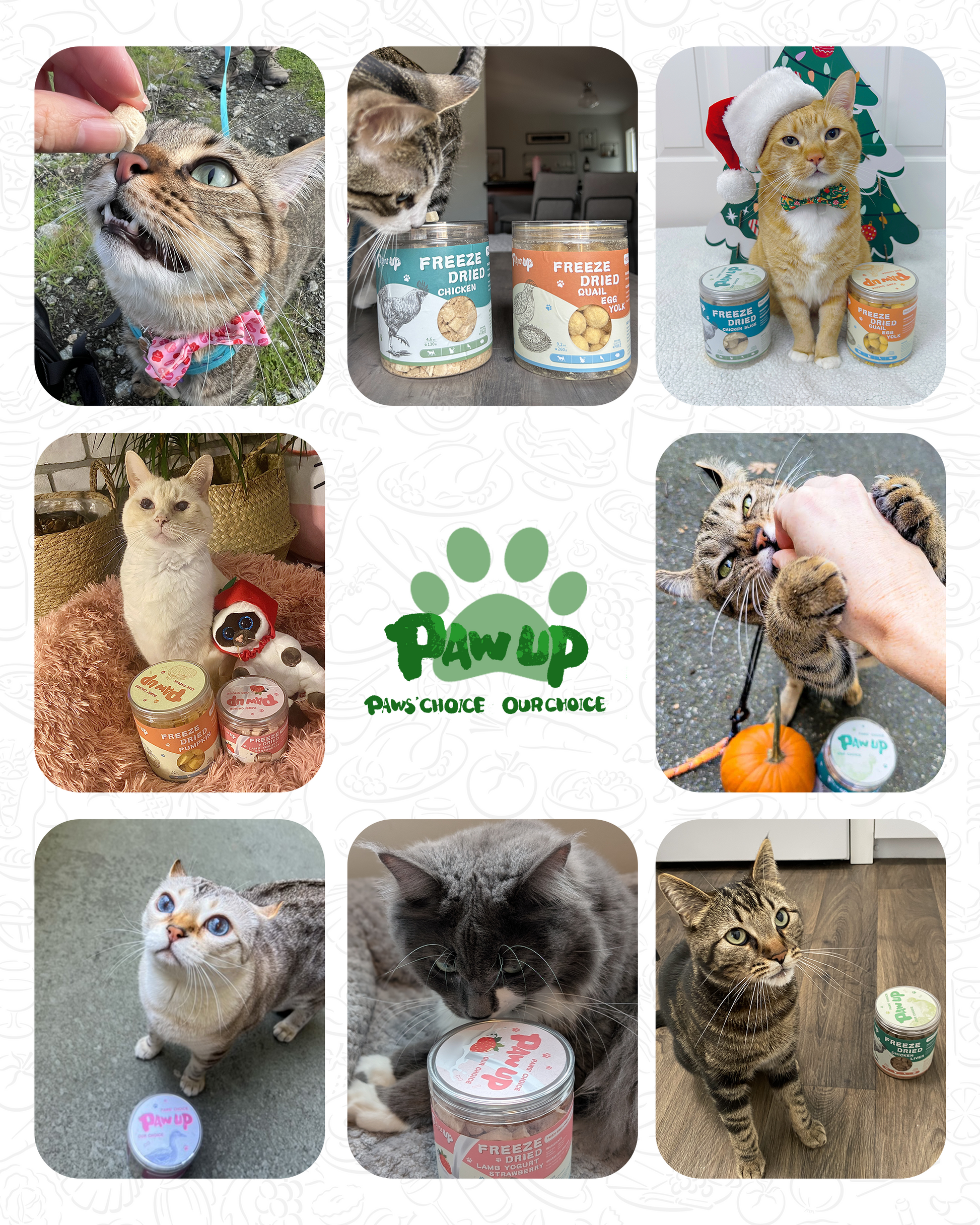 Freeze Dried Chicken Cat Treats, Cat Grass Added,Hairball Care & Digestive Support, 3.8oz - Pawup