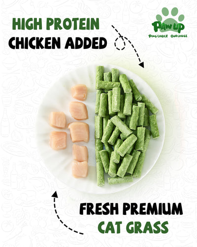 Freeze Dried Chicken Cat Treats, Cat Grass Added,Hairball Care & Digestive Support, 3.8oz - Pawup