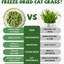 Freeze Dried Chicken Cat Treats, Cat Grass Added,Hairball Care & Digestive Support, 3.8oz - Pawup