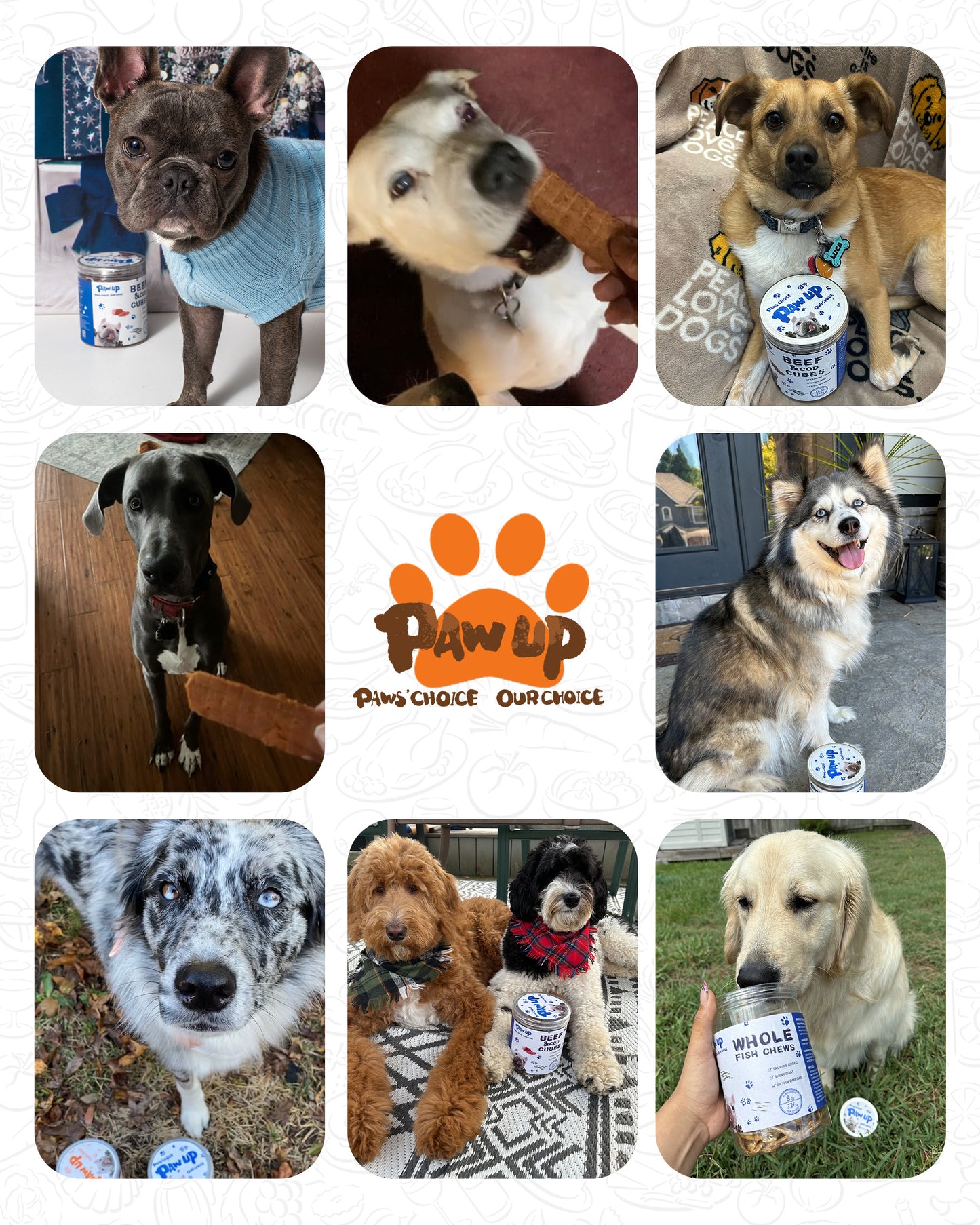 Smoked Salmon Fillet Jerky with Omega 3–6  for Dogs,12.5 oz - Pawup