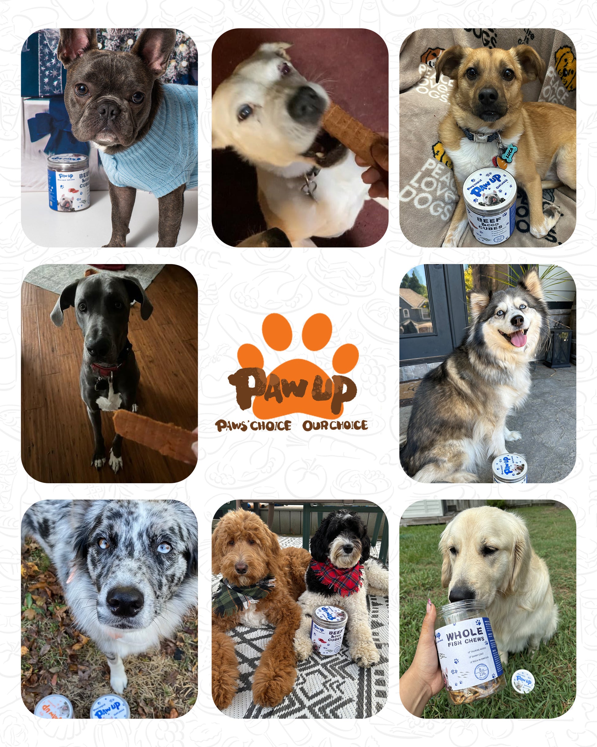 Smoked Salmon Fillet Jerky with Omega 3–6  for Dogs,12.5 oz - Pawup