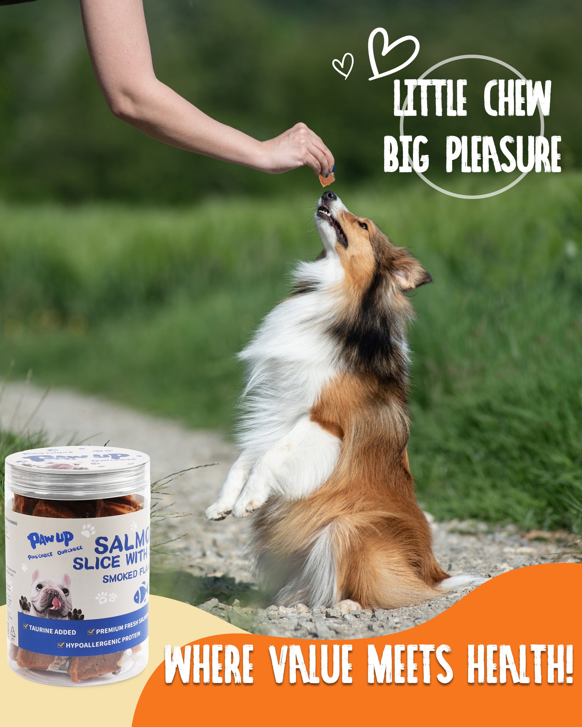 Smoked Salmon Fillet Jerky with Omega 3–6  for Dogs,12.5 oz - Pawup