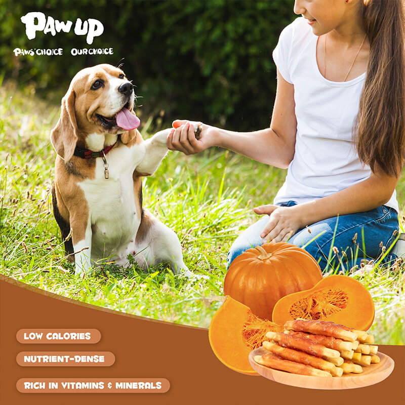 PAWUP Chicken Wrapped Biscuits Pumpkin Sticks, 12.5 oz